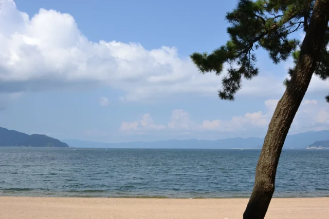 気比の松原 松と砂浜と海