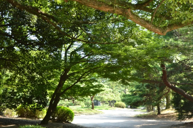 豊橋公園・吉田城